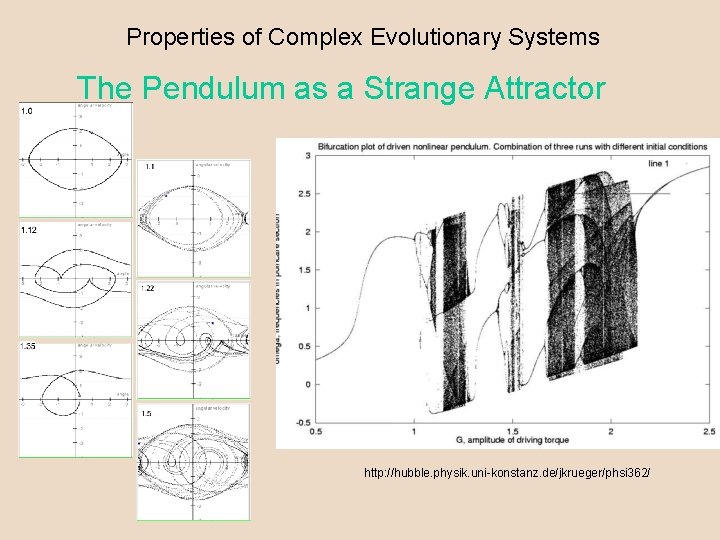 Self Organization What is a System Clarification Five
