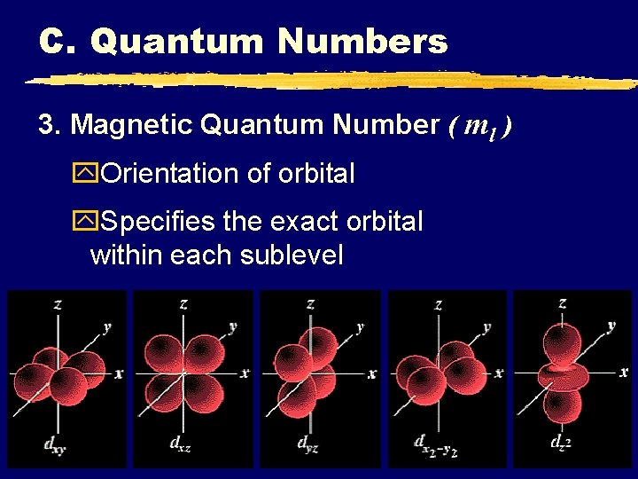 C. Quantum Numbers 3. Magnetic Quantum Number ( ml ) y. Orientation of orbital