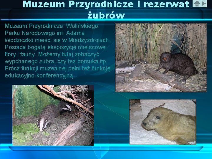 Muzeum Przyrodnicze i rezerwat żubrów Muzeum Przyrodnicze Wolińskiego Parku Narodowego im. Adama Wodziczko mieści