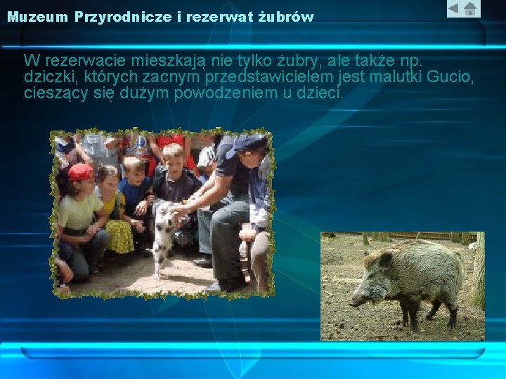 Muzeum Przyrodnicze i rezerwat żubrów W rezerwacie mieszkają nie tylko żubry, ale także np.