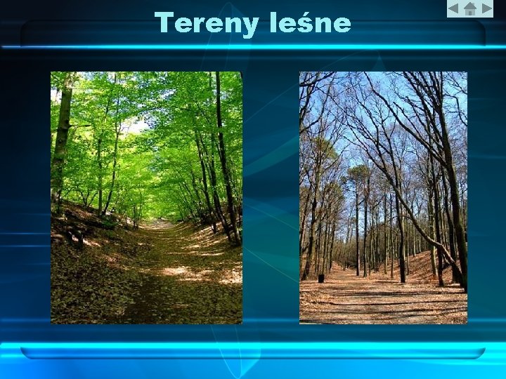 Tereny leśne 