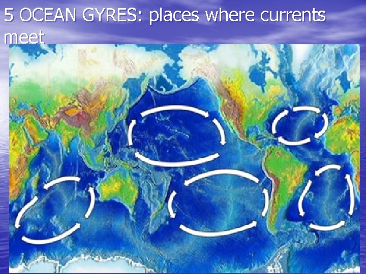 5 OCEAN GYRES: places where currents meet 