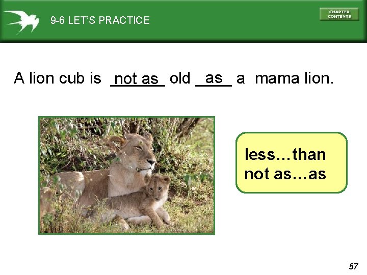 9 -6 LET’S PRACTICE as a mama lion. A lion cub is ______ not