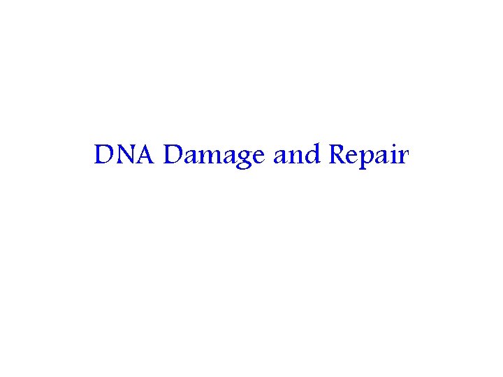 DNA Damage and Repair 