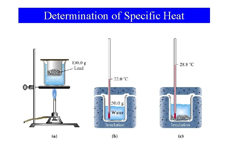 Determination of Specific Heat 