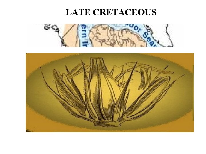 LATE CRETACEOUS 