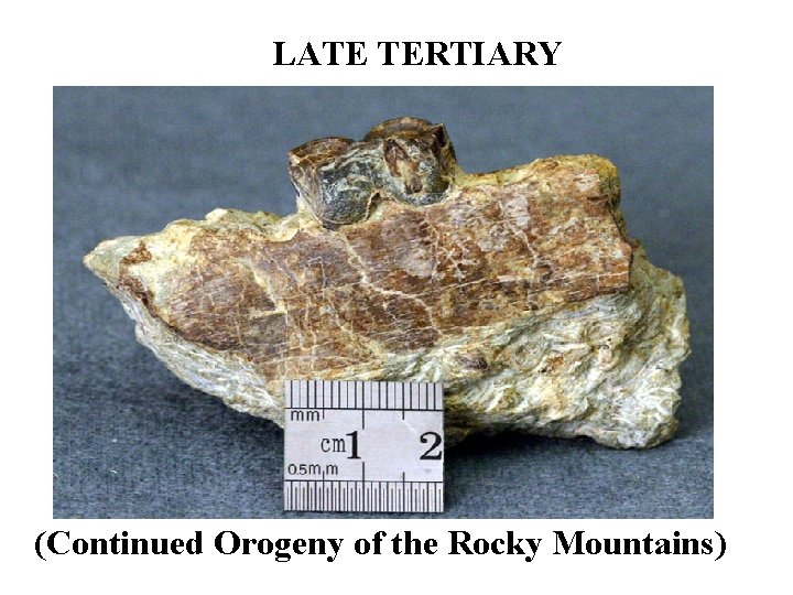 LATE TERTIARY (Continued Orogeny of the Rocky Mountains) 