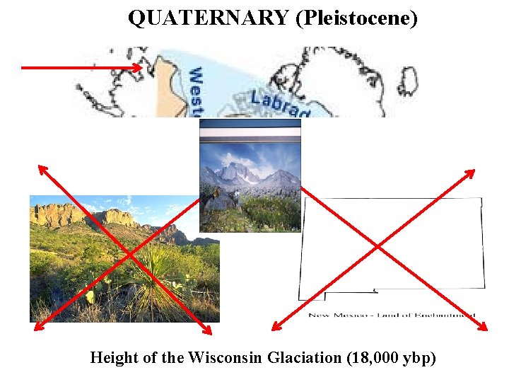 QUATERNARY (Pleistocene) Height of the Wisconsin Glaciation (18, 000 ybp) 