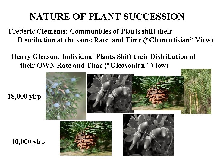NATURE OF PLANT SUCCESSION Frederic Clements: Communities of Plants shift their Distribution at the