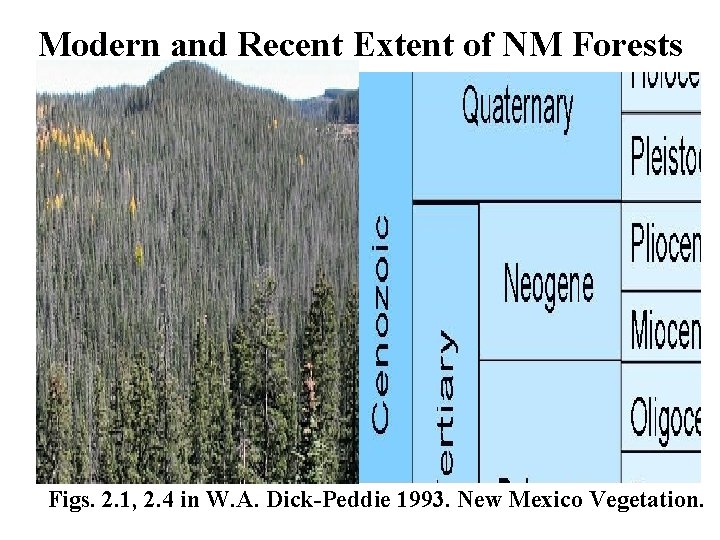 Modern and Recent Extent of NM Forests Figs. 2. 1, 2. 4 in W.