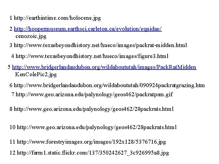 1 http: //earthintime. com/holocene. jpg 2 http: //hoopermuseum. earthsci. carleton. ca/evolution/equidae/ cenozoic. jpg 3