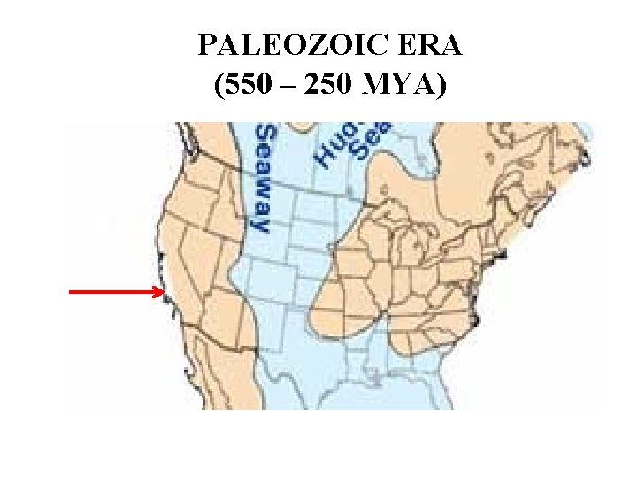 PALEOZOIC ERA (550 – 250 MYA) 