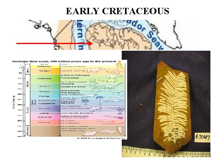 EARLY CRETACEOUS 