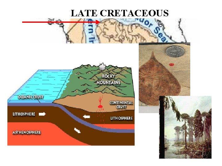 LATE CRETACEOUS 