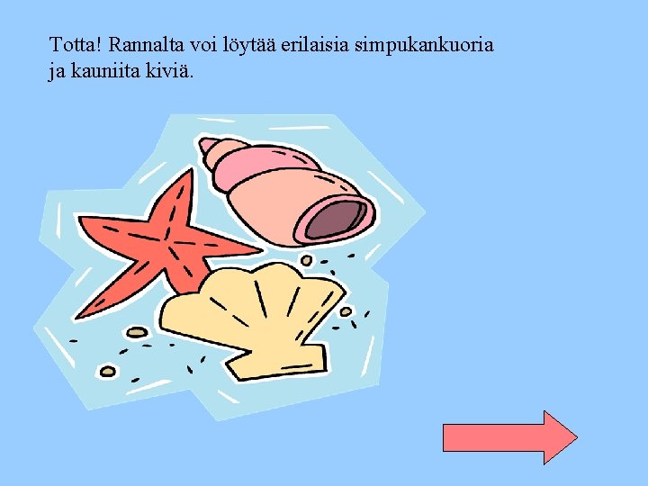 Totta! Rannalta voi löytää erilaisia simpukankuoria ja kauniita kiviä. 