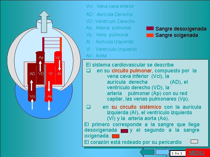 Vci : Vena cava inferior AD : Aurícula Derecha VD : Ventrículo Derecho Ap