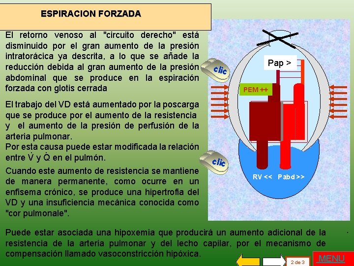 ESPIRACION FORZADA El retorno venoso al "circuito derecho" está disminuido por el gran aumento