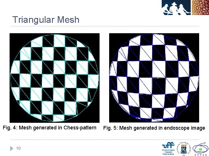 Triangular Mesh Fig. 4: Mesh generated in Chess-pattern 10 Fig. 5: Mesh generated in