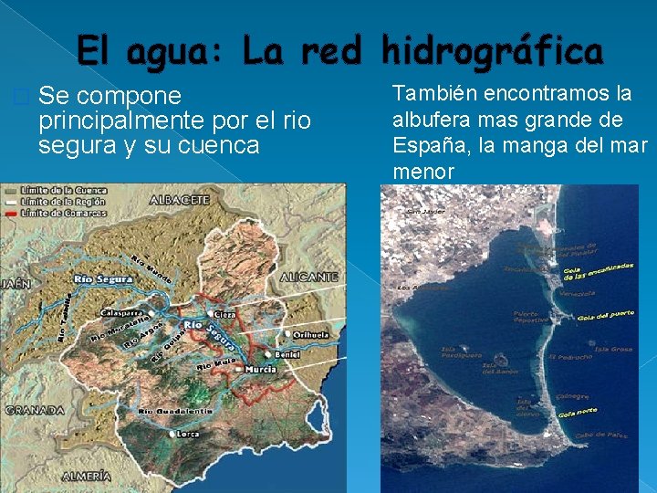 El agua: La red hidrográfica � Se compone principalmente por el rio segura y El agua: La red hidrográfica � Se compone principalmente por el rio segura y