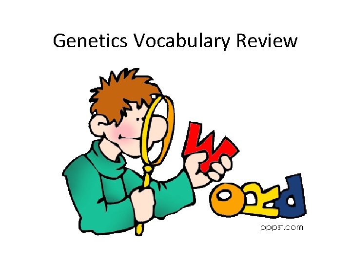 Genetics Vocabulary Review 