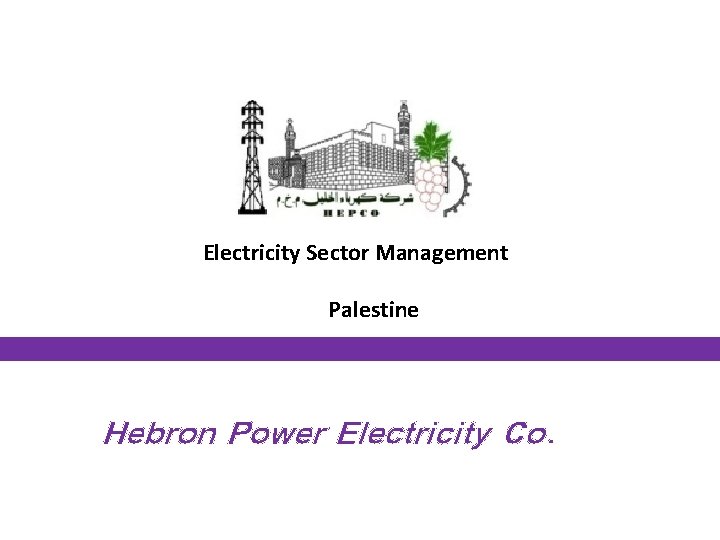 Electricity Sector Management Palestine Hebron Power Electricity Co. 