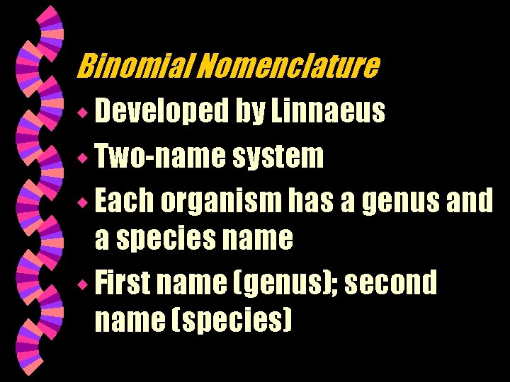 Binomial Nomenclature w Developed by Linnaeus w Two-name system w Each organism has a