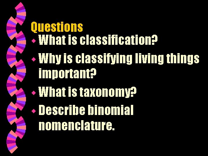 Questions w What is classification? w Why is classifying living things important? w What