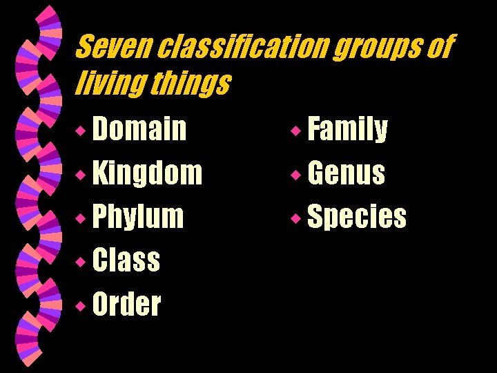 Seven classification groups of living things w Domain w Family w Kingdom w Genus