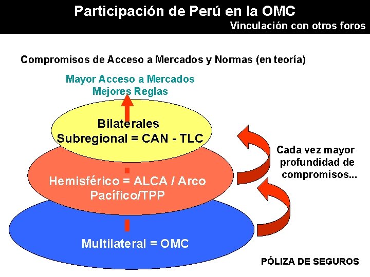 Participación de Perú en la OMC Vinculación con otros foros Compromisos de Acceso a