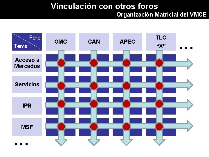Vinculación con otros foros Organización Matricial del VMCE Foro Tema Acceso a Mercados Servicios