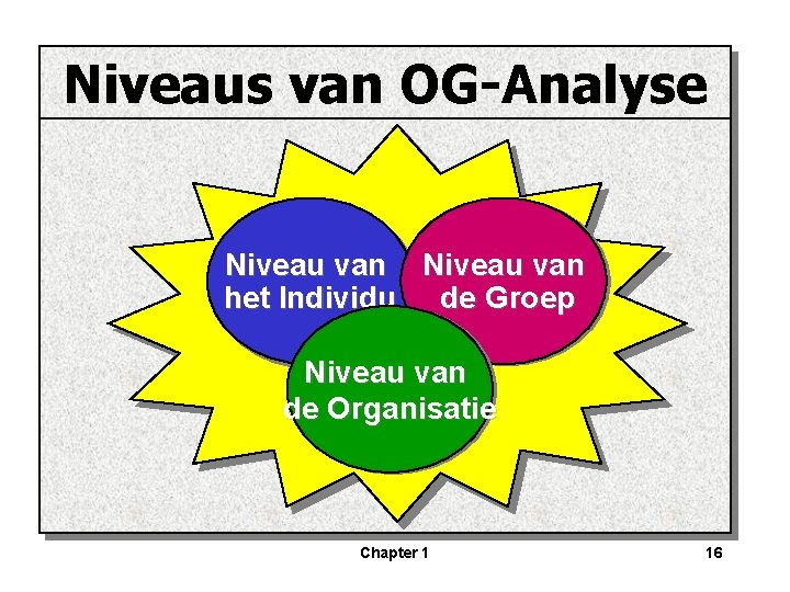 Niveaus van OG-Analyse Niveau van het Individu de Groep Niveau van de Organisatie Chapter