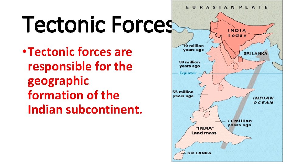 Tectonic Forces • Tectonic forces are responsible for the geographic formation of the Indian