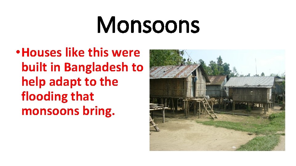 Monsoons • Houses like this were built in Bangladesh to help adapt to the