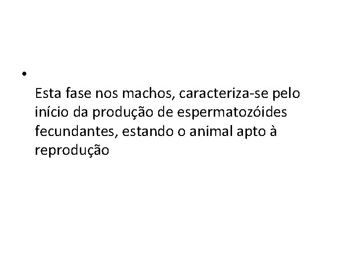  • Esta fase nos machos, caracteriza-se pelo início da produção de espermatozóides fecundantes,