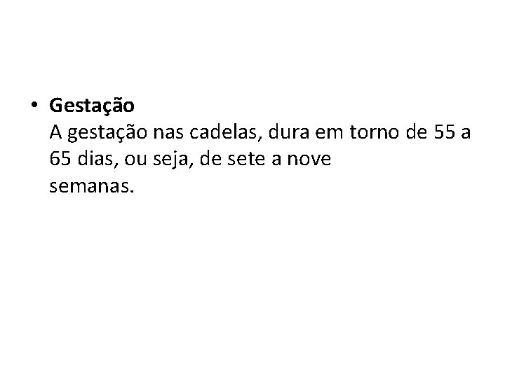  • Gestação A gestação nas cadelas, dura em torno de 55 a 65