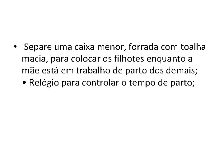  • Separe uma caixa menor, forrada com toalha macia, para colocar os filhotes