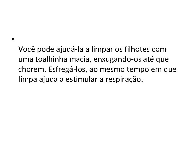  • Você pode ajudá-la a limpar os filhotes com uma toalhinha macia, enxugando-os