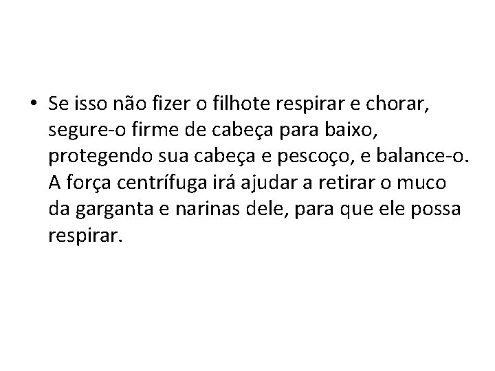  • Se isso não fizer o filhote respirar e chorar, segure-o firme de