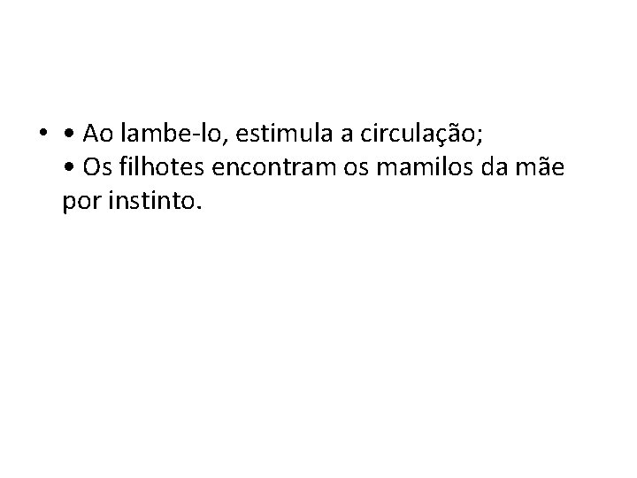  • • Ao lambe-lo, estimula a circulação; • Os filhotes encontram os mamilos