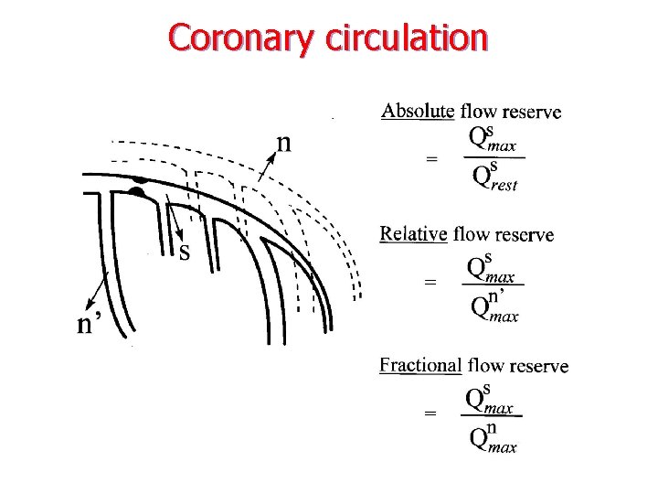 Coronary circulation 
