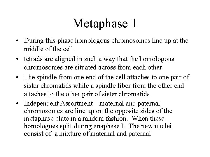 Metaphase 1 • During this phase homologous chromosomes line up at the middle of