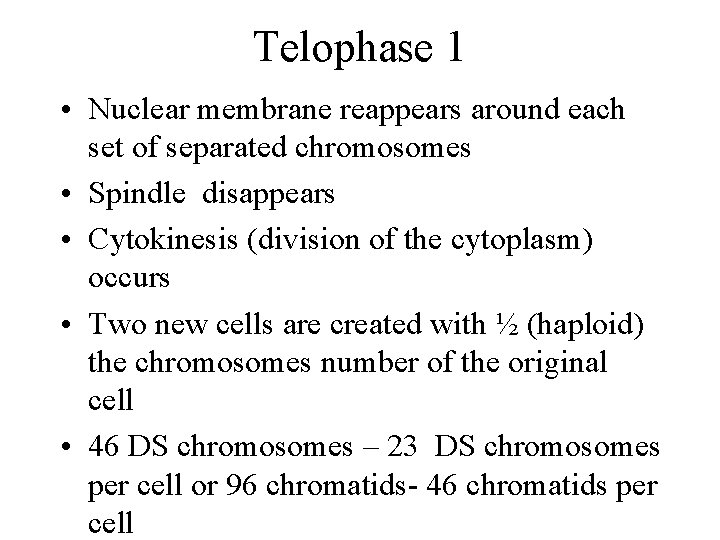 Telophase 1 • Nuclear membrane reappears around each set of separated chromosomes • Spindle