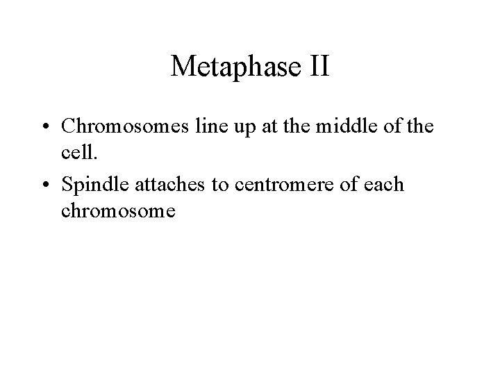 Metaphase II • Chromosomes line up at the middle of the cell. • Spindle