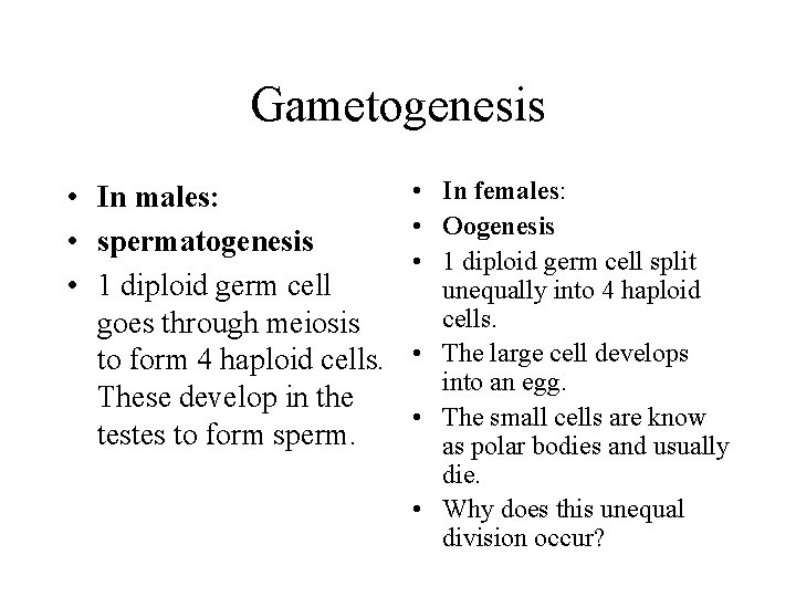 Gametogenesis • In males: • spermatogenesis • 1 diploid germ cell goes through meiosis