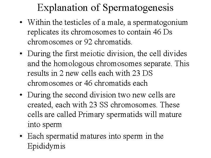 Explanation of Spermatogenesis • Within the testicles of a male, a spermatogonium replicates its