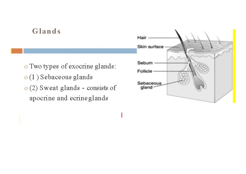 Warmup October 5 18 Objective Copy The Following