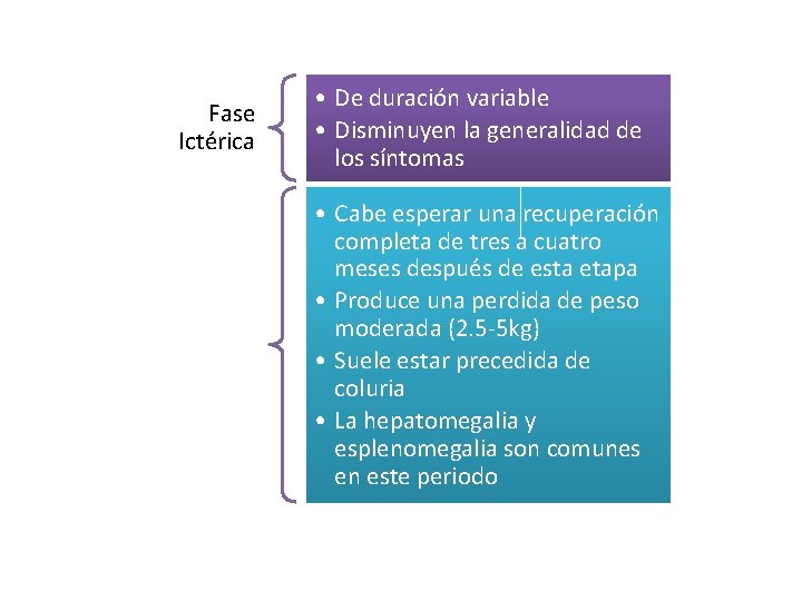 Fase Ictérica • De duración variable • Disminuyen la generalidad de los síntomas •