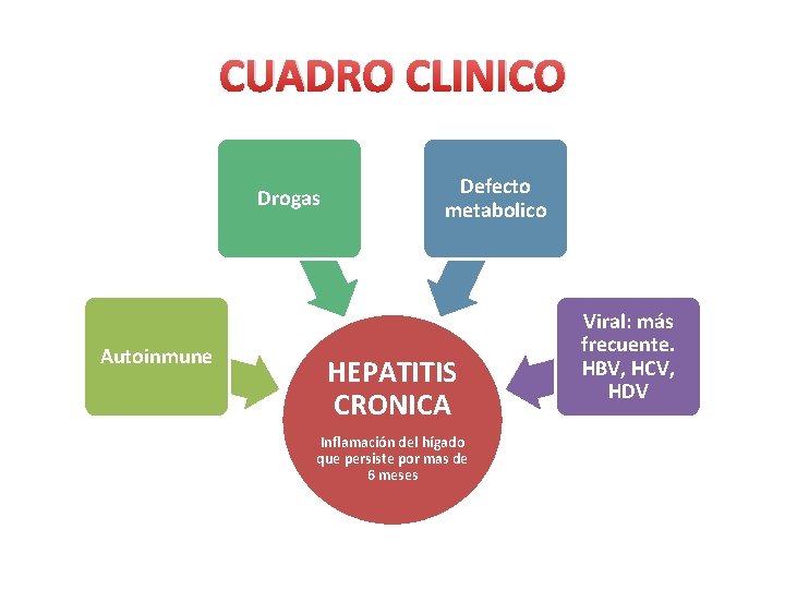 CUADRO CLINICO Drogas Autoinmune Defecto metabolico HEPATITIS CRONICA Inflamación del hígado que persiste por