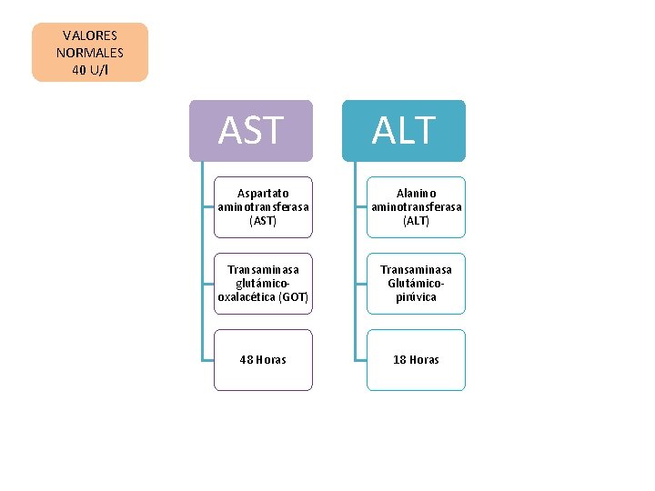 VALORES NORMALES 40 U/l AST ALT Aspartato aminotransferasa (AST) Alanino aminotransferasa (ALT) Transaminasa glutámicooxalacética