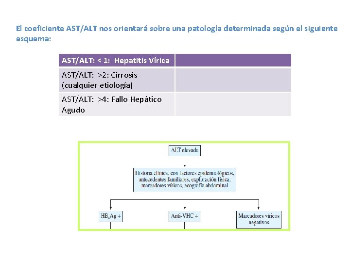 El coeficiente AST/ALT nos orientará sobre una patología determinada según el siguiente esquema: AST/ALT: